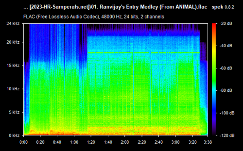 01. Ranvijay's Entry Medley (From ANIMAL).flac